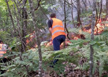Situata e zjarreve, Ministria e Mbrojtjes: Aktualisht janë 6 vatra aktive