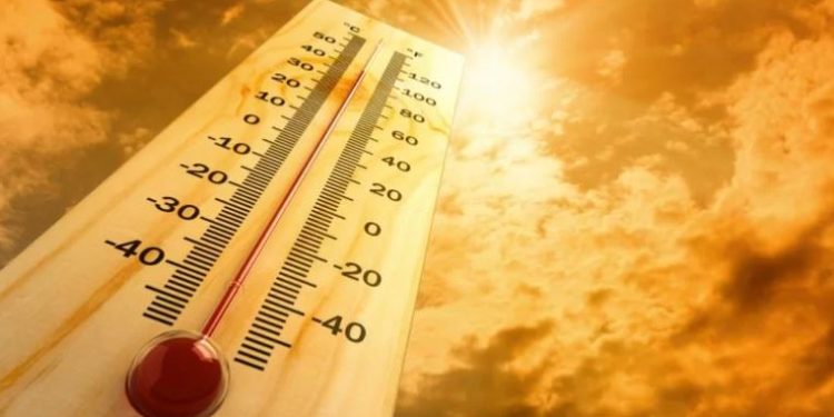 Temperatura  të larta , maksimalja deri në 38°C