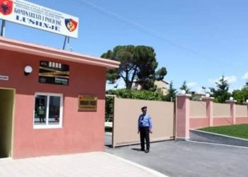 Autor i disa grabitjeve, vihet në pranga i riu në Lushnje