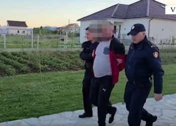 EMRI+VIDEO/ Kultivoi 2150 fidanë kanabis, arrestohet 37-vjeçari në Velipojë