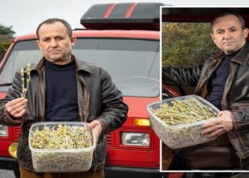 Piktori shqiptar arrestohet me çaj mali në Britani, Rama ‘thumbon’ Sunak: Se di si do ta përballonte nëse një britanik do të arrestohej në Shqipëri