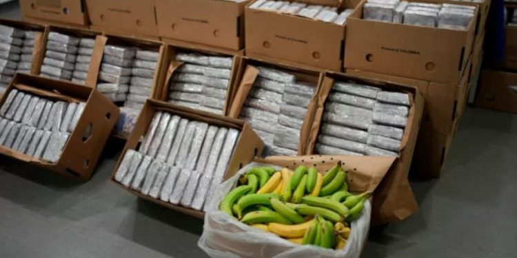 Kapet kokainë me vlerë 100 milionë euro!