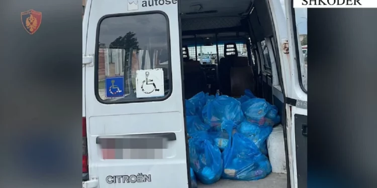 U arrestuan për shpërndarje ushqimesh në këmbim vote, lirohen 3 zyrtarët e Bashkisë Shkodër! Policia: S’ka prova