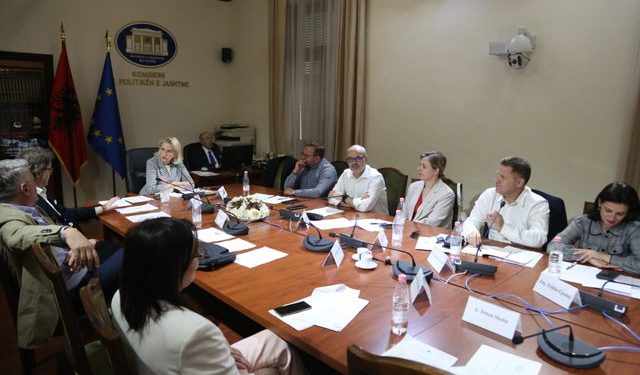 BIRN: Ambasadorët e emëruar marrin kritika për anësinë politike për mungesë të karrierës diplomatike