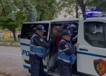 EMRI/ Lëvizte me pistoletë në brez në zonën e Tushemishtit, arrestohet i riu! Sa pa Policinë hodhi armën në lumë