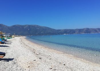 ‘Kemi parë një peshkaqen!’ ALARMOHET Policia e Vlorës, monitoron zonën bregdetare në Orikum
