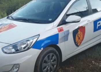 Trupi i pajetë poshtë urës së Dajlanit/ Detaje të reja