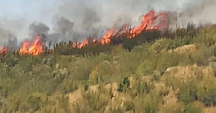 Zjarr në Belsh, rrezikohen disa banesa