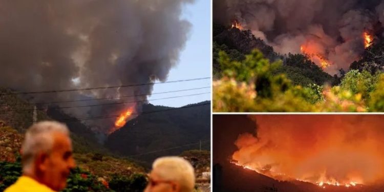 Zjarr i madh në Spanjë, evakuohen banorët e Tenerifes