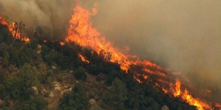 Vlorë/ Zjarr në afërsi të fshatit Nartë, digjen shkurre dhe ferra