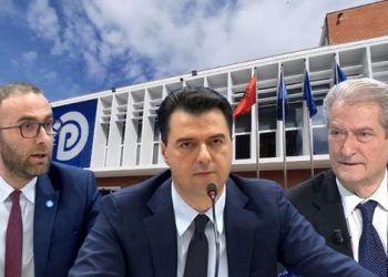 Rregullorja që shkarkoi Gazment Bardhin nga kreu i Grupit Parlamentar të PD