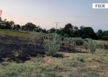 Zjarret në Fier.  Arrestohet një person