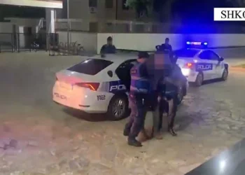 Sekuestrohen bimë narkotike, municion luftarak dhe kallëpe tritoli në banesë. Në pranga 68-vjeçari