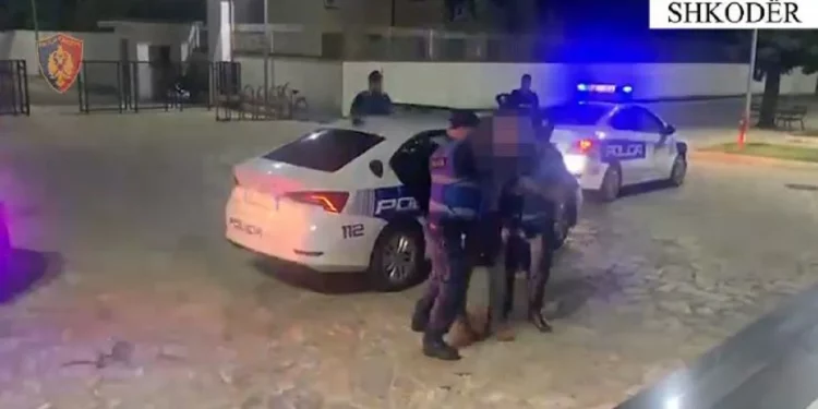 Sekuestrohen bimë narkotike, municion luftarak dhe kallëpe tritoli në banesë. Në pranga 68-vjeçari