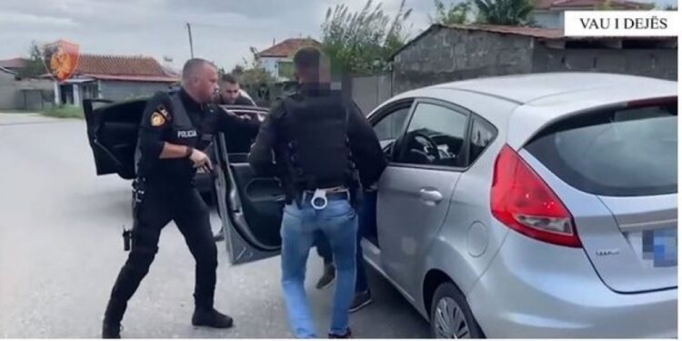 Asgjësohen 115 bimë kanabis në Vaun e Dejës. Arrestohet autori, në procedim bashkëshortja