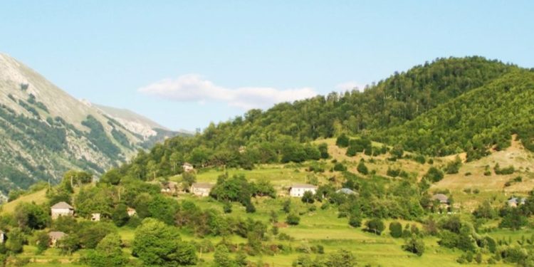 Konflikti mes barinjve në Tepelenë përfundon me një të plagosur