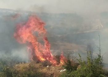 Ndezën zjarr nga pakujdesia në Lushnje: Digjen 4000 dëngje me bar dhe tokë e mbjellë