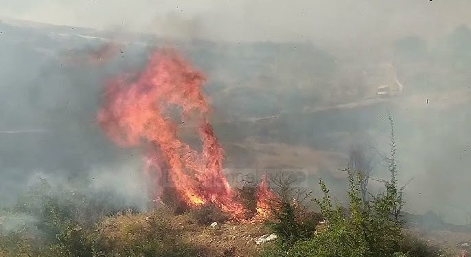 Ndezën zjarr nga pakujdesia në Lushnje: Digjen 4000 dëngje me bar dhe tokë e mbjellë