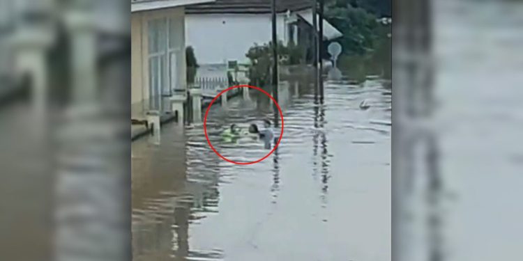 Video e trishtë/ Beteja e nënës në Greqi për të shpëtuar fëmijën e saj nga përmbytjet