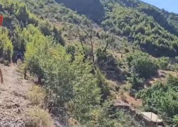 Operacioni ‘Fokusi’: Asgjesohen mbi 5 mijë bimë narkotike në disa qytete