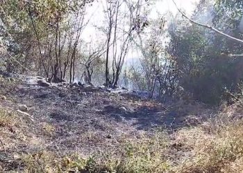 I moshuari hedh cigaren, marrin flakë pemët frutore e ullinjtë