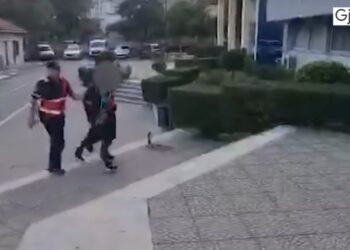 Arrestohen dy persona në Gjirokastër, u kapën me kokainë e fara kanabisi