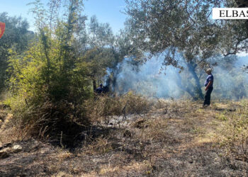U nis të ndizte zjarr për të djegur barishtet, por flakët shkrumbuan pemët frutore të shtetasve të tjerë. Në procedim autori