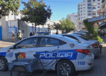 Dimal: Po digjte barishtet në tokën e tij, por dogji 200 rrënjë ulliri, në pranga 66-vjeçari