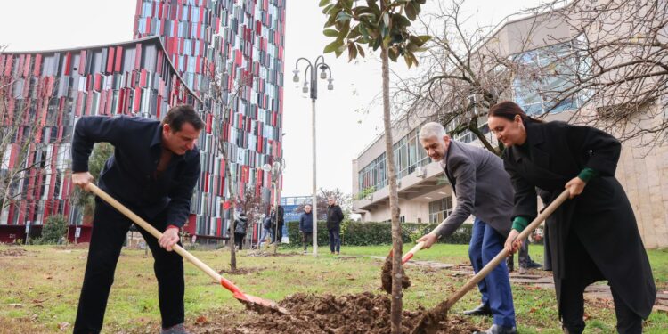 Tiranës i shtohen edhe 50 pemë, Veliaj: “Shtojmë gjelbërimin në çdo cep të qytetit”