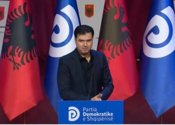 Basha: Programi i PD merr parasysh gjendjen aktuale të vendit