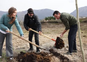 Veliaj: Farka, një zonë në zhvillim, do ndërtojmë 6 shkolla të reja”