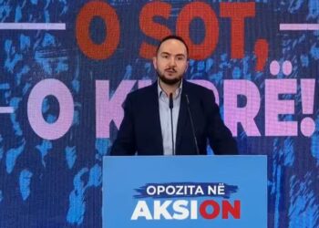 Salianji nga Fieri: Bashkimi i Partisë Demokratike ishte një akt i domosdoshëm
