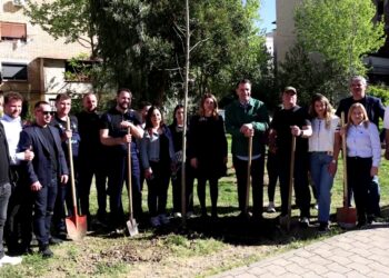 Veliaj vijon fushatën me mbjellje pemësh te ish-Tregu Elektrik