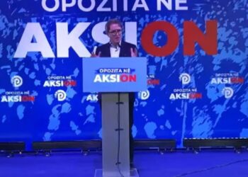 Alizoti nga Rrësheni: Partia Socialiste është produkt i Partisë së Punës dhe…