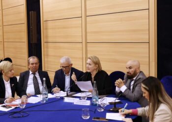 Denaj:Mbështesim prodhimin e bimëve medicinale shqiptare përmes një vizioni afatgjatë