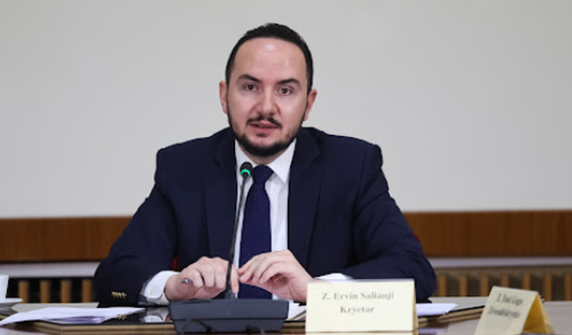Hetimi i TIMS, Salianji: Të dhënat që morëm nga drejtuesit e Policisë janë llahtar