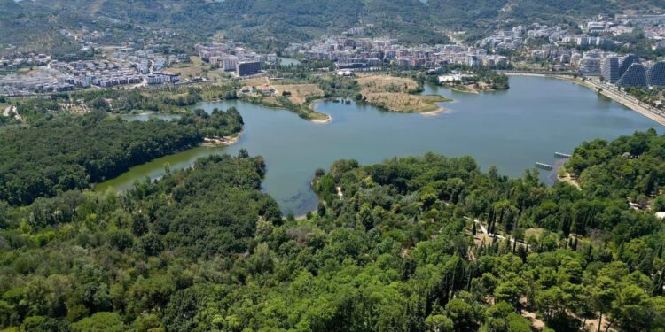 Rama publikon fotot e veçanta: Parku i Madh i Liqenit, oaz i qetë i Tiranës  