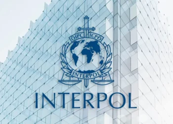 Operacioni i SPAK,  Interpoli: 15 të arrestuar, goditet rrjeti kriminal shqiptar