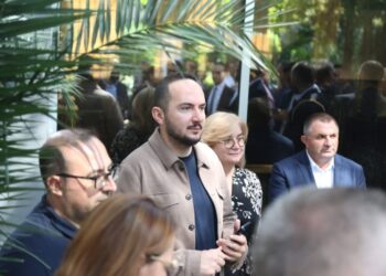 Dënimi me një vit burg për Salianjin, sqarimi i apelit