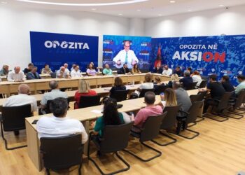 Zbardhen emrat, ja drejtuesit politik të PD sipas qarqeve