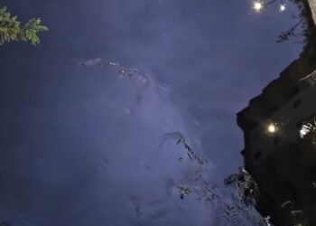 Masakër mjedisore në Fier/ Kompanitë e naftës derdhin mbetjet hidrokarbure në lumin Gjanica