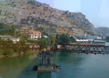 “Kisha probleme personale!”/ Tentoi t’i jepte fund jetës në ujërat e lumit Buna