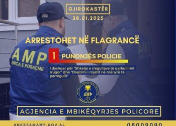 Drejtonte makinën i dehur dhe shkaktoi aksident, AMP arreston punonjësin e Policisë