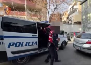 Kultivoi 480 bimë kanabisi, vihet në pranga 41-vjeçari i cili ishte në kërkim