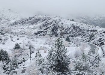 Reshje shiu dhe bora, ja parashikimi i motit për fundjavën